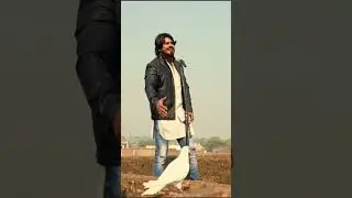 Kailashwasi Out Now Link in Description 🤗🤗🤗#shorts