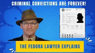 Criminal convictions never go away.