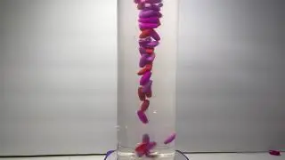 WATER TORNADO BEAST 