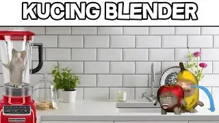 Kucing di blender 😭