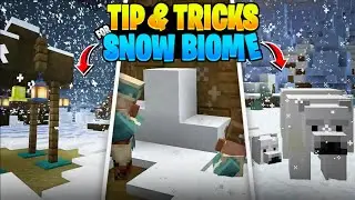 6 TIPS To Survive In a Sown Biome | In Minecraft