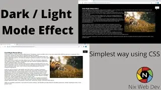 || Dark/Light Mode || Dark mode effect || by using only css ||