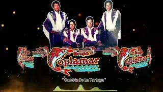 Grupo Coplamar - Cumbia de La Tortuga