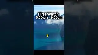 First Watch 6-9 pm