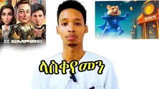 ከዚህ ቦሃላ Airdrop በቃኝ ላላችሁ ?|| Hamster Combat ,Memefi, XEmpire