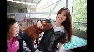 田馥甄領養的第一隻狗「田蹦」-2022愛最大 [ 張媽媽流浪動物救助計畫 ]