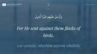 Surah Al-Fil - Beautiful Quran Recitation by Hani Rifai with English Translation