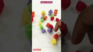 Colour Sorting | Colours | Educational Videos for Kids