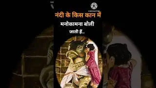 नंदी के किस कान में मनोकामना बोलने से जल्द पूरी होती हैं बाये या दाये #shiv #shivpuran #shortsviedo