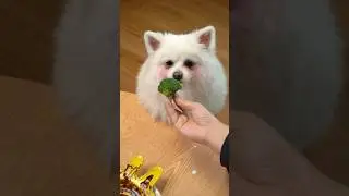 Have a big meal! 