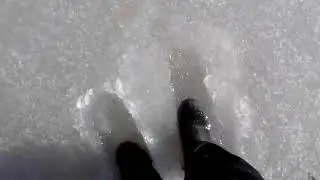 Лесное озеро (жерлицы и щука)