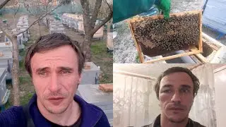 Що там по доходягам в ППС? Продовжуємо стимуляцію!