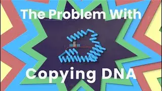 Why Do You Lose DNA Every Time Your Cells Divide?
