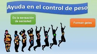 Fibra dietética