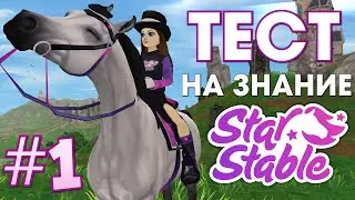 ТЕСТ НА ЗНАНИЕ STAR STABLE #1 🐴