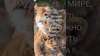 О сыне