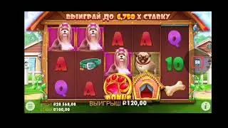Собаки выбил бонуску по 200р