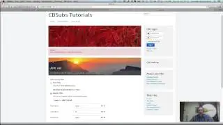 CBSubs Tutorial - 02 - Dummy Gateway and Workflow Override