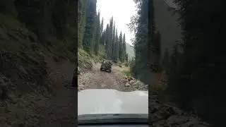 Дорога Алтын Арашан