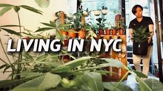 🪴 I Struggled Working at a Plant Shop in New York City
