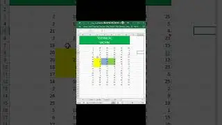 Excel || Microsoft Excel || Excel Basic || excel tutoring ||