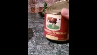 Тушенка ООО БРТ Гвардейск