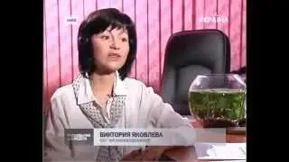 Какой стиральный порошок лучше