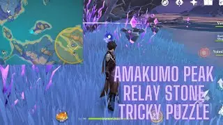 Amakumo Peak Relay Stone Puzzle - Tricky Puzzle Inazuma 2.1