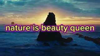 4K nature video in YouTube channel nature lovers and naturalists YouTube channel video
