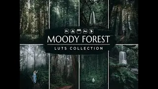 Moody Forest Video LUTs- Moody LUTs- Forest LUTs- LUTs for Premiere Pro- Influencer LUTs- VN LUTs