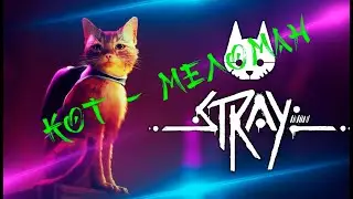 Stray.  Кот меломан.