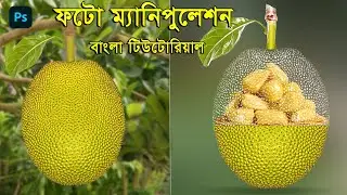 Photo Manipulation in Photoshop Bangla Tutorial || Transparent Effect Jakfruit Manipulation 2024