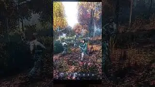 #dayzserver