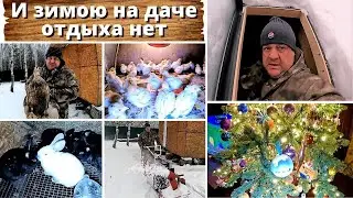 ДАЧА
