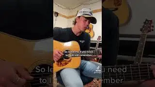 Willie Nelson Cover 