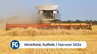 Harvest 2024 | Mickfield, Suffolk - Claas Lexion 8900 Combine Harvester