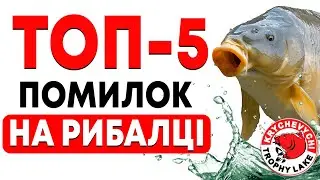 STOP! Fatal ERROR! So the carp does not bite!