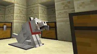 WHAT THE DOG DOIN?!