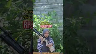 PROMO SPESIAL || BOCAP DAYSTATE 500CC HARGA TERMURAH CEK CEK🤩