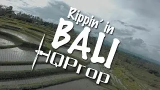 LHP@Bali - HQ5x4x4