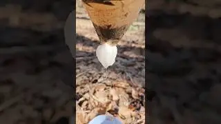 Making a water filter with a cotton ball and a plastic bag 💧