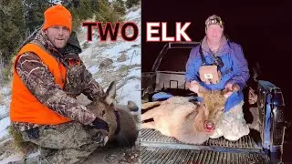 2024 Utah Antlerless Elk Hunt (Saved by Bent Offroad Recovery)