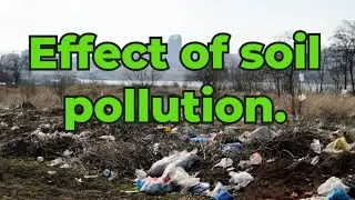 Soil Pollution: Causes, Effects, and Solutions | A Comprehensive Guide. 