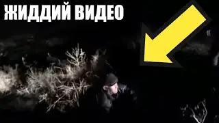 ИТЛАР БИЛАН ЁТГАН ТОГА ТОПИЛДИ.08.09.2020.