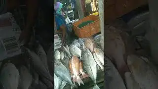 Nagercoil மேலராமன்புதூர் மீன் மார்கெட் கன்னியாகுமரி  மீன் 🐙🦑🦐🐙🐟 யாரு எல்லாம் இந்த மார்கெட்