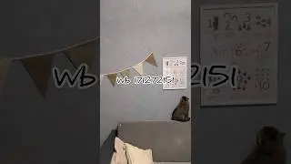 Гирлянда «Флажки» в детскую🫶🏻Wb 171272151