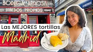 The 7 BEST TORTILLAS in MADRID | Where to eat in Madrid