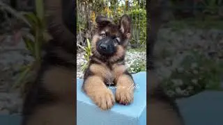 Эдит НО💋🔥👍