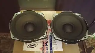 Technics T12P27A6 СЧ динамики