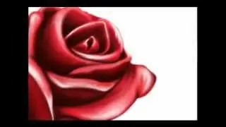 Rosa by Andy Weno